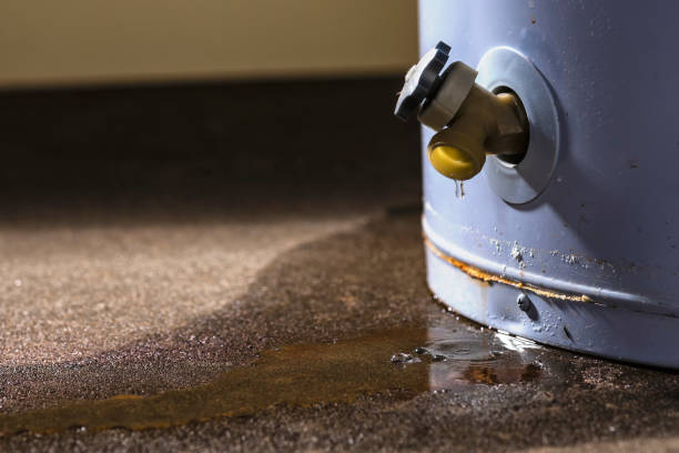 Best Mold removal after water damage  in Rossville, GA