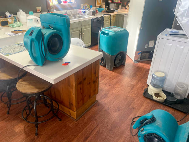 Best Water damage mitigation services  in Rossville, GA