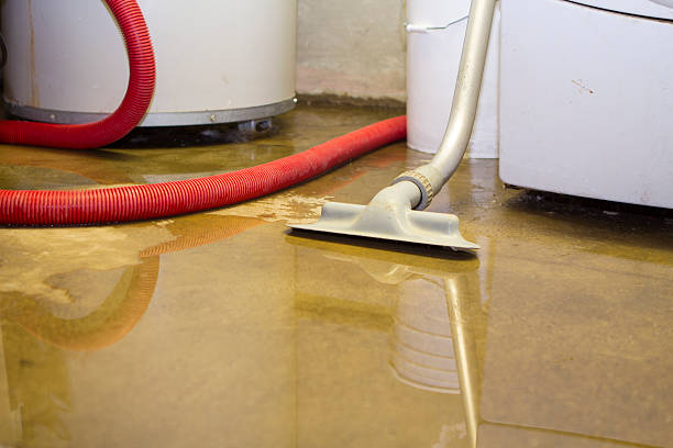 Best Local water damage restoration  in Rossville, GA