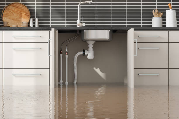 Best Mold removal after water damage  in Rossville, GA